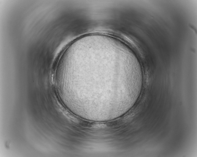 X0000102491462200808291638