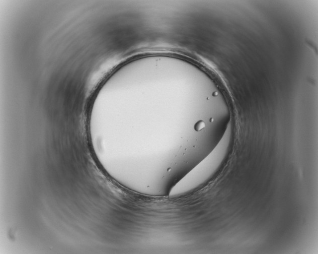 X0000102491464200808291638