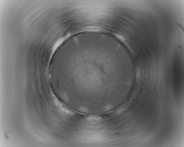 X0000102491466200808291638