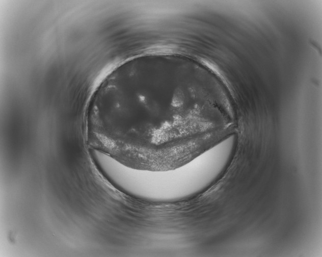 X0000102491467200808291638