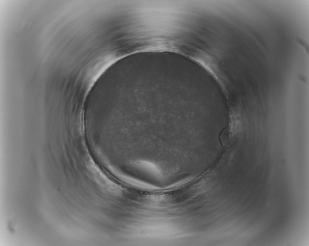 X0000102491468200808291638