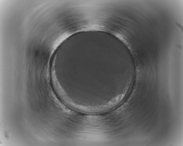 X0000102491469200808291638