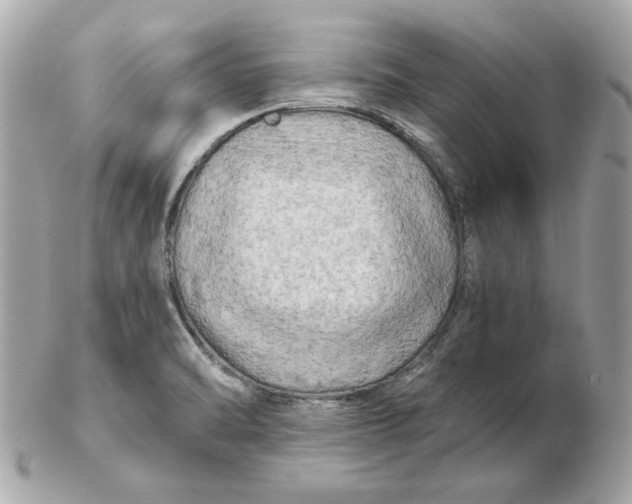 X0000102491470200808291638