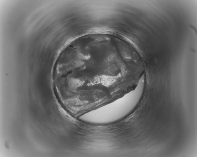 X0000102491471200808291638