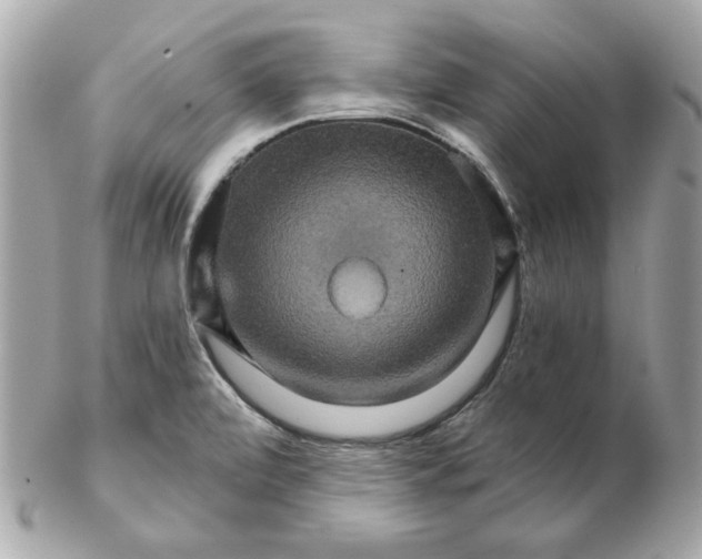 X0000102491472200808291638