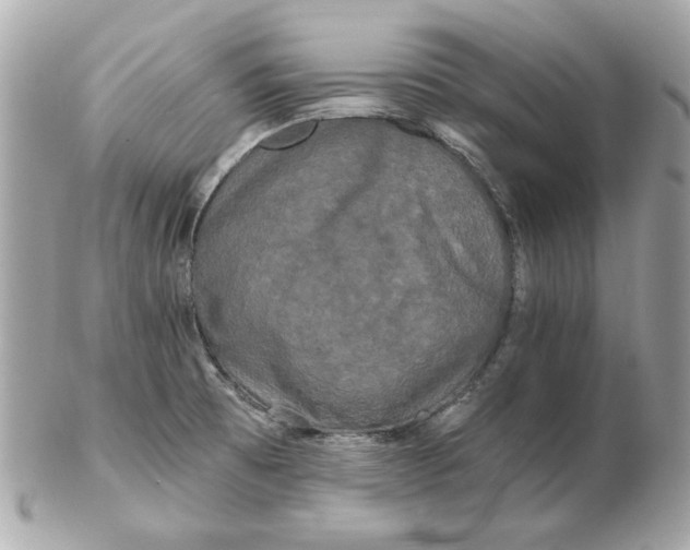 X0000102491473200808291638