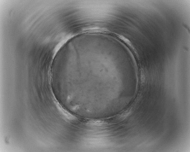 X0000102491474200808291638