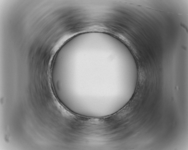 X0000102491478200808291638