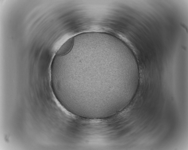 X0000102491479200808291638