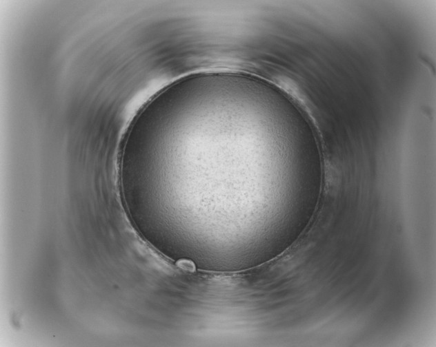 X0000102491480200808291638