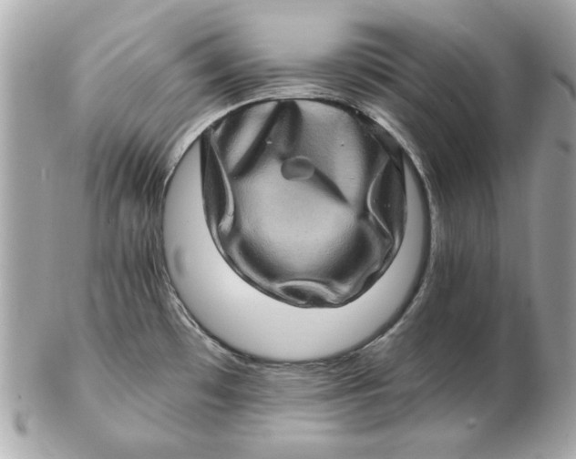 X0000102491481200808291638