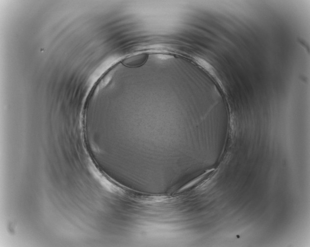 X0000102491482200808291638