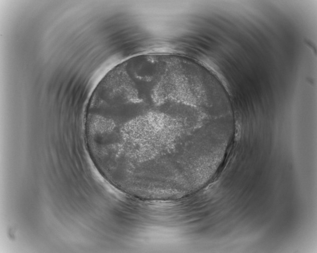 X0000102491483200808291638