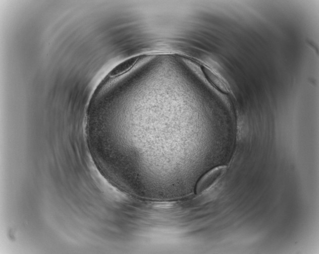 X0000102491484200808291638