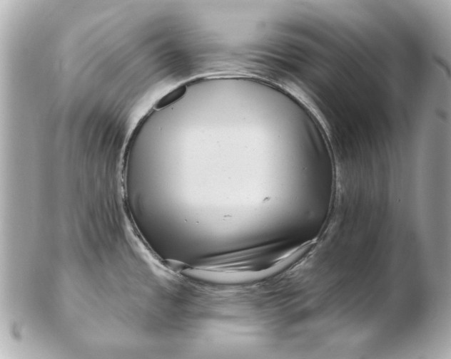 X0000102491485200808291638