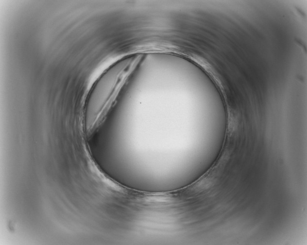 X0000102491486200808291638