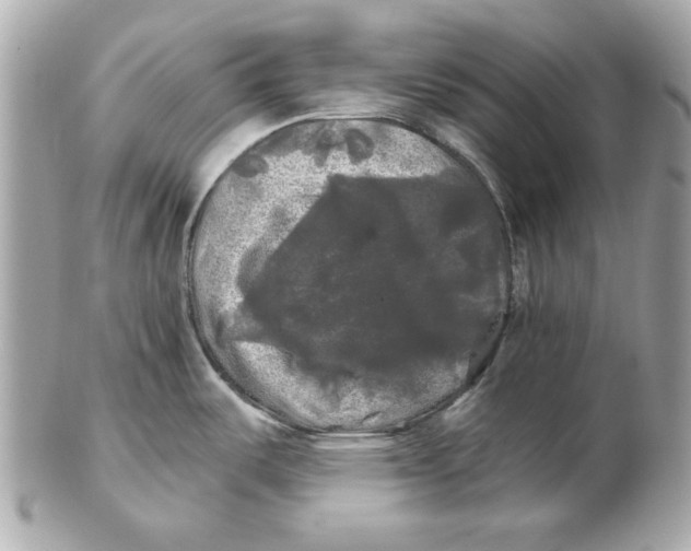 X0000102491487200808291638