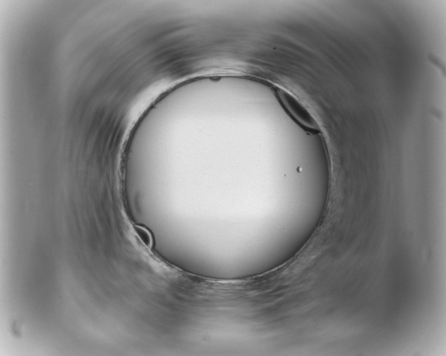 X0000102491488200808291638