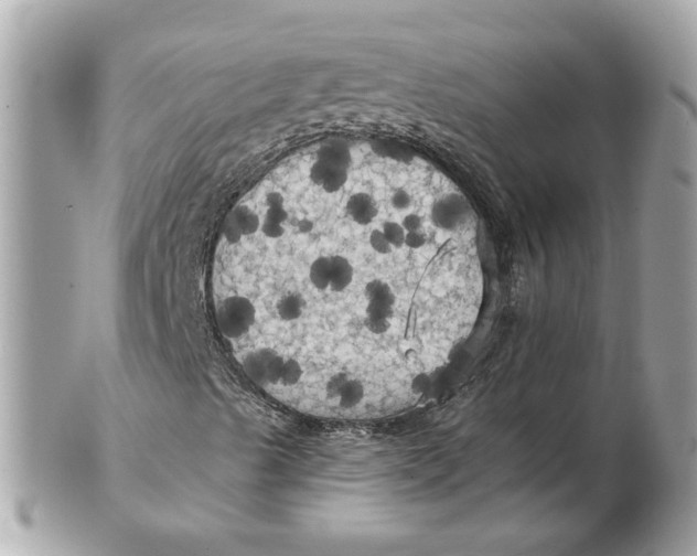 X0000102491489200808291637