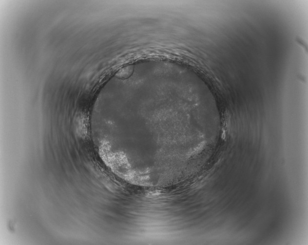 X0000102491490200808291637