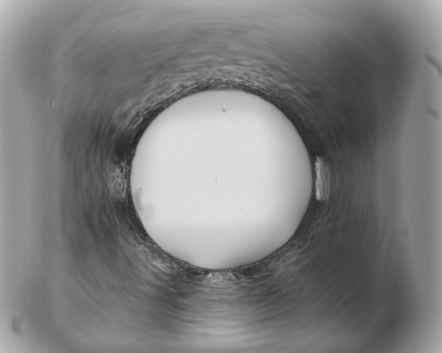 X0000102491491200808291637