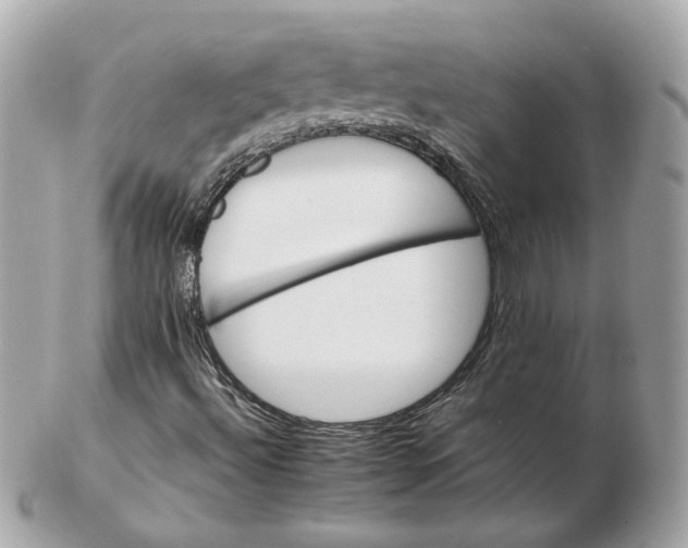 X0000102491492200808291637