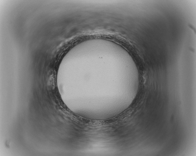 X0000102491493200808291637