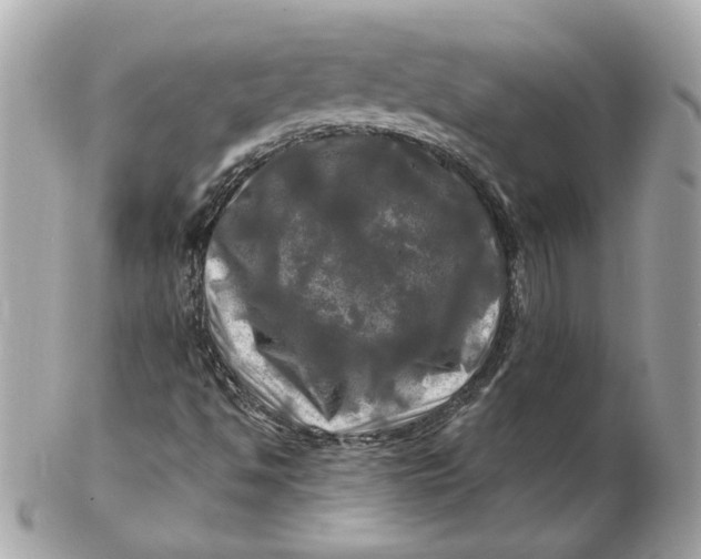 X0000102491494200808291637