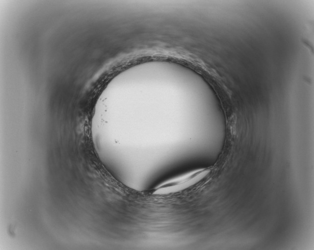 X0000102491495200808291637