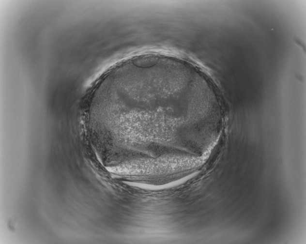 X0000102491496200808291637