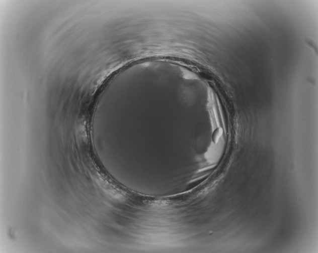 X0000102491497200808291637