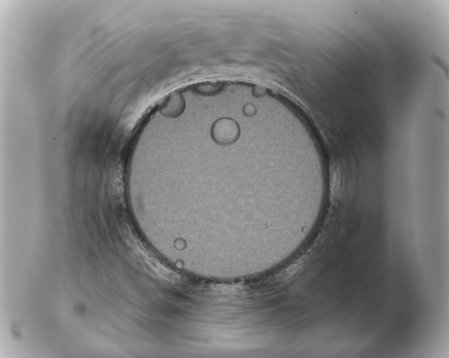 X0000102491498200808291637