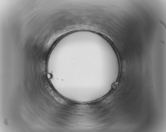 X0000102491499200808291637