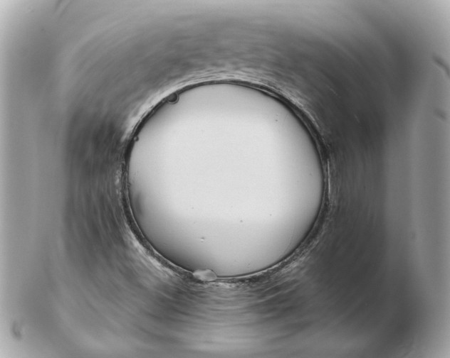 X0000102491500200808291637