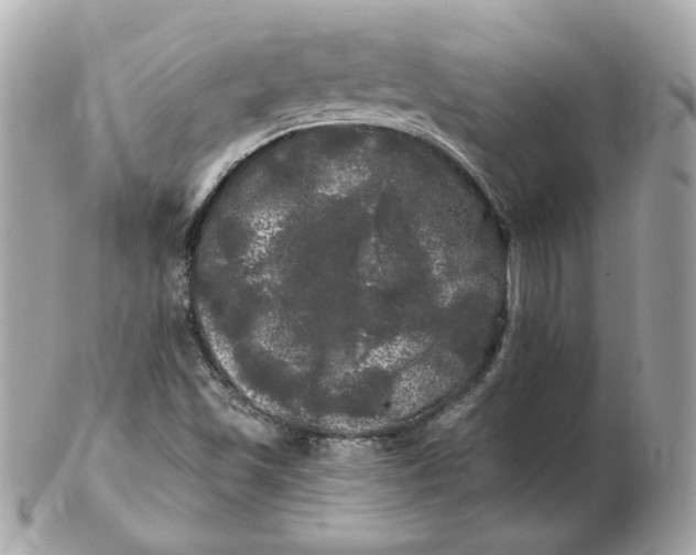 X0000102491501200808291637