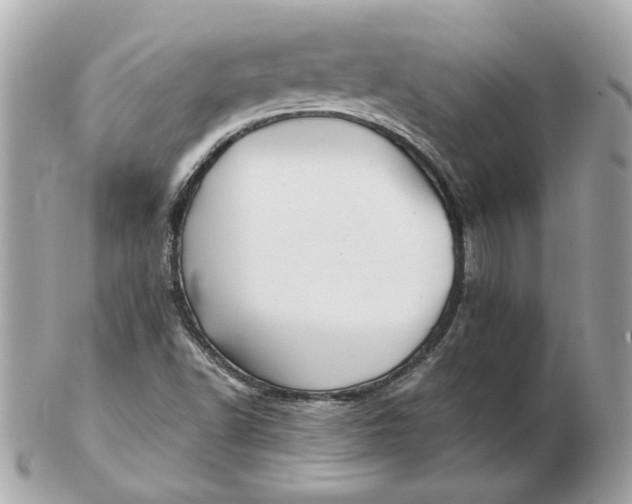 X0000102491502200808291637