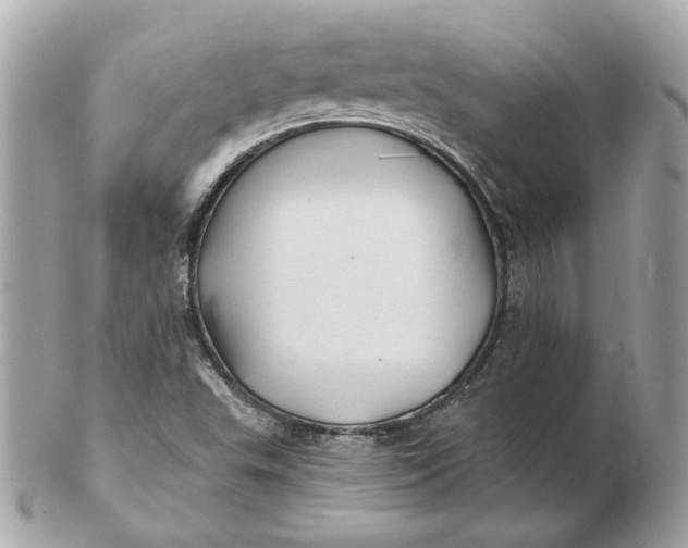 X0000102491503200808291637