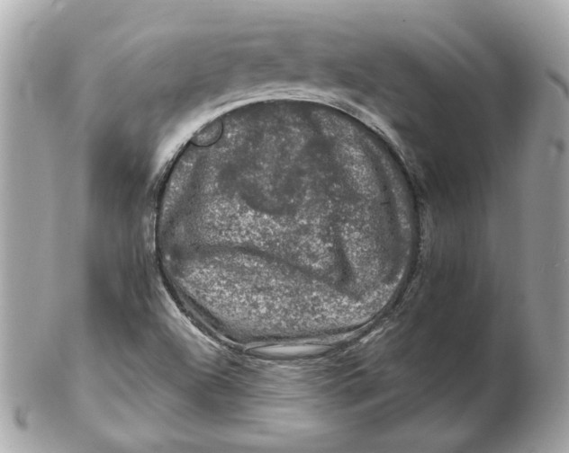 X0000102491504200808291637