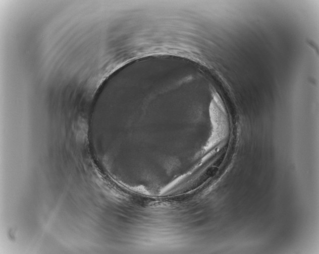 X0000102491505200808291638