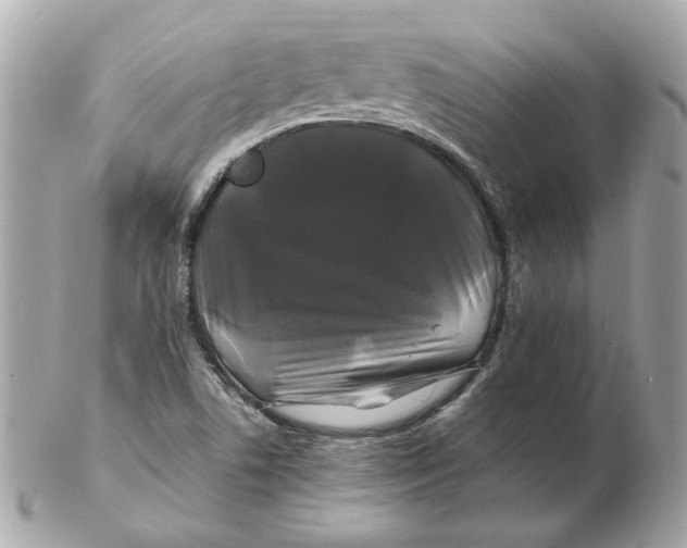 X0000102491506200808291638