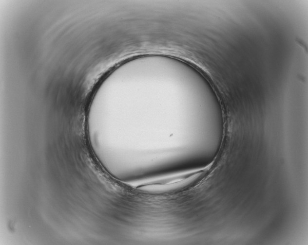 X0000102491507200808291638