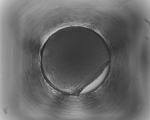 X0000102491508200808291638