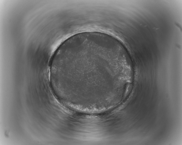 X0000102491509200808291638