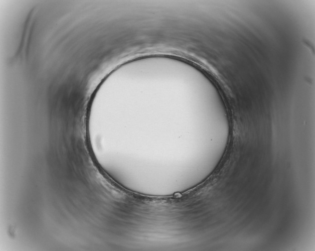 X0000102491512200808291638