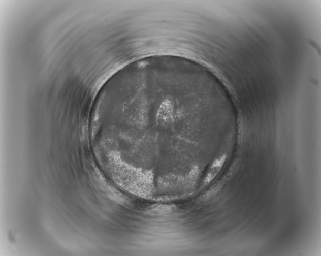 X0000102491513200808291638