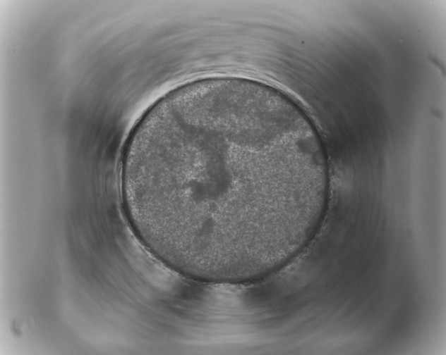 X0000102491514200808291638