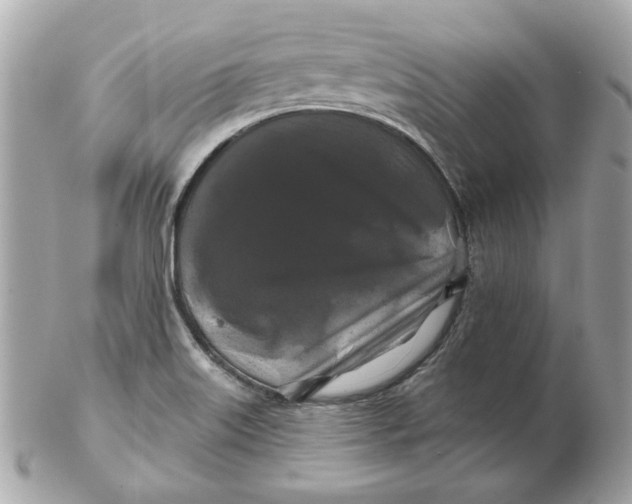 X0000102491515200808291638