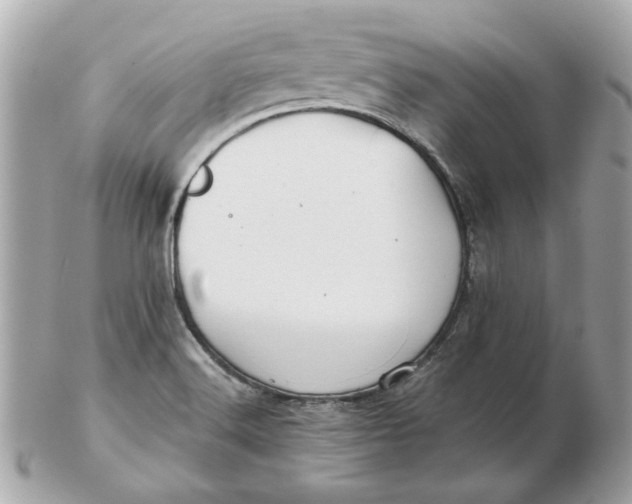 X0000102491516200808291638