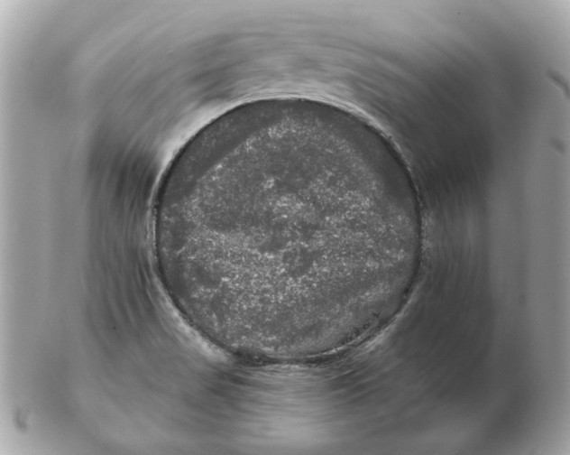 X0000102491517200808291638