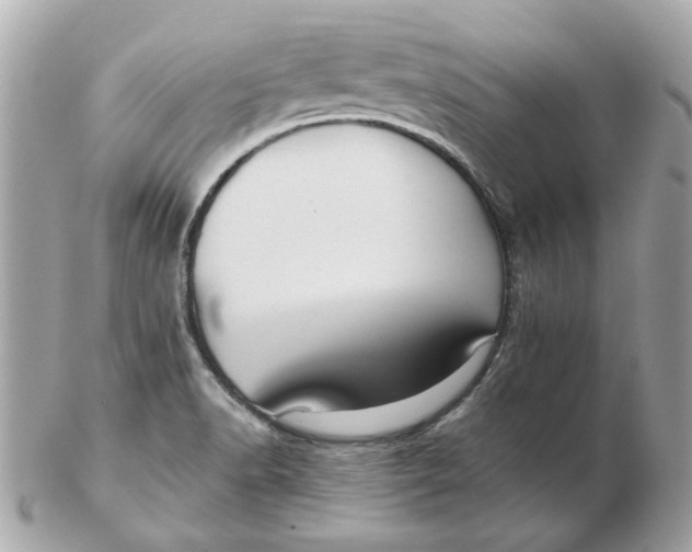 X0000102491518200808291638